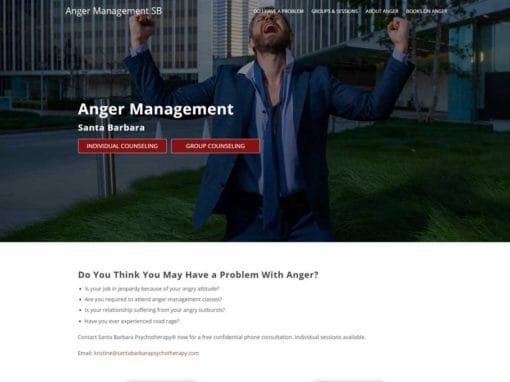 Anger Management SB