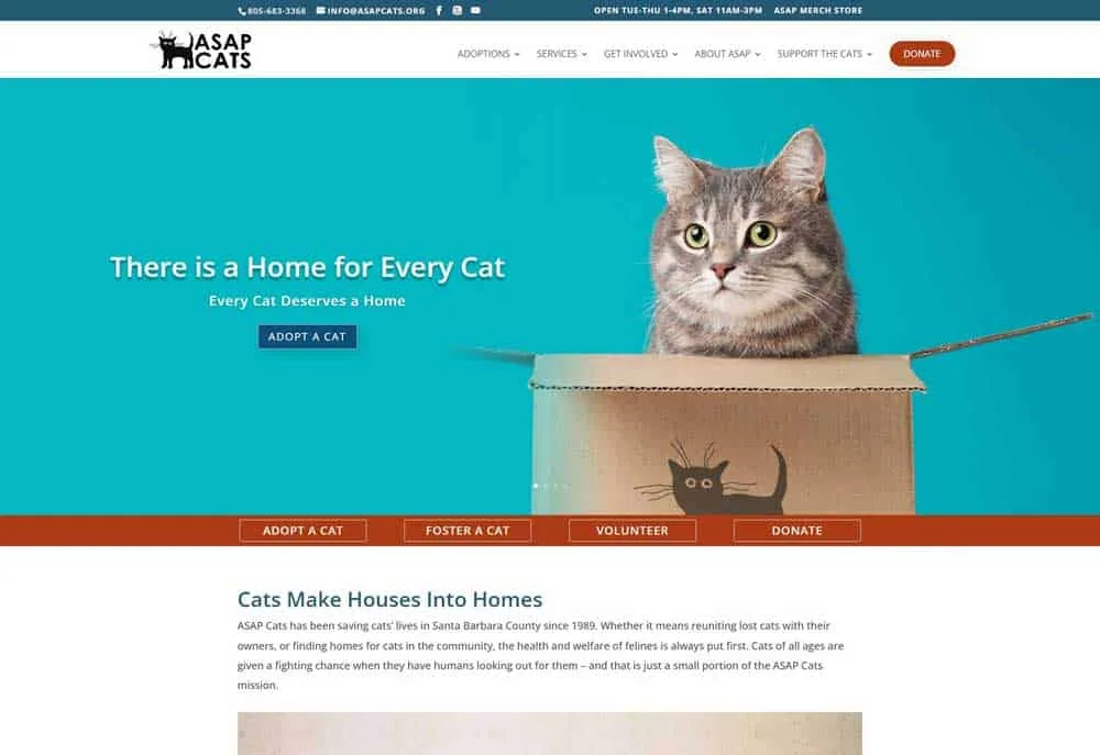 Websites for Nonprofits: ASAPCats Goleta