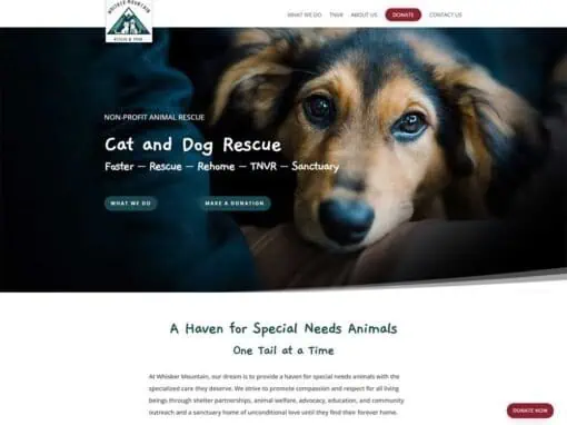 Whisker Mountain Animal Rescue