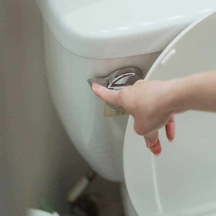 Flush Browser cache Browser cache